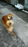 200802291036000.jpg