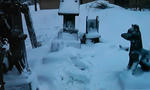 200802130657000.jpg