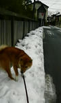200802230909000.jpg
