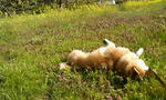 200804270818000.jpg