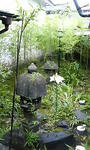 200806291241000.jpg