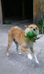 200807230550000.jpg