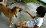 200808191320000.jpg