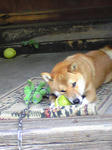Image143.jpg