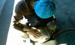 200904060951000.jpg