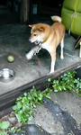 200907300611000.jpg