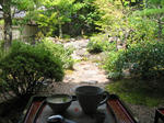 IMG_5171.JPG