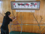 IMG_5865.JPG