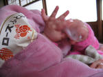 IMG_7475.JPG