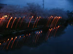 IMG_7887.JPG