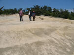 IMG_8039.JPG