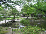 IMG_8220.JPG