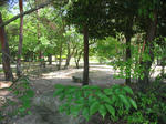 IMG_8459.JPG