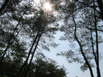 IMG_8463.JPG