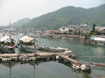 IMG_8779.JPG