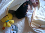 IMGP0091.JPG