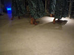 IMGP1399.JPG