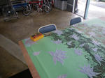 IMGP1146.JPG