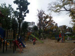 IMGP2803.JPG