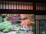 IMGP2827.JPG