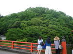IMGP4229.JPG