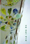 image_nakano2010.jpg