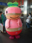 IMGP5346.JPG