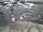 IMGP5382.JPG