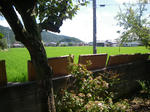 IMGP5464.JPG