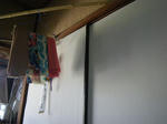 IMGP5474.JPG