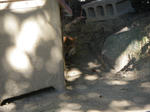 IMGP6120.JPG