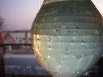 IMGP6274.JPG