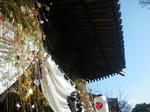 IMGP6801.JPG