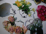 IMGP6989.JPG