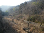 IMGP7011.JPG
