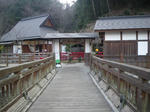 IMGP7019.JPG