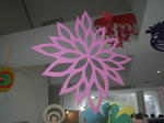 IMGP7534.JPG