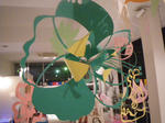 IMGP7586.JPG