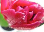IMGP7789.JPG