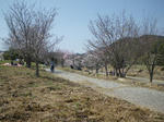 IMGP7980.JPG