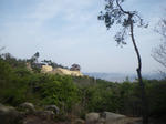 IMGP7983.JPG