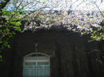 IMGP8001.JPG
