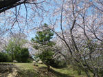 IMGP8016.JPG