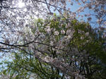 IMGP8021.JPG