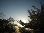 IMGP8036.JPG