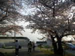 IMGP8037.JPG