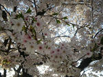 IMGP8038.JPG