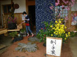 IMGP8071.JPG