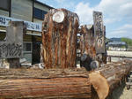 IMGP8073.JPG