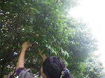 5.gif
